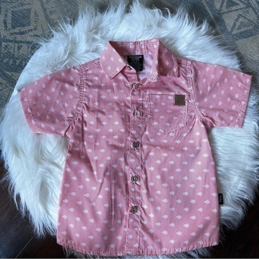 American Hawk Striped Button Down Dress Shirt